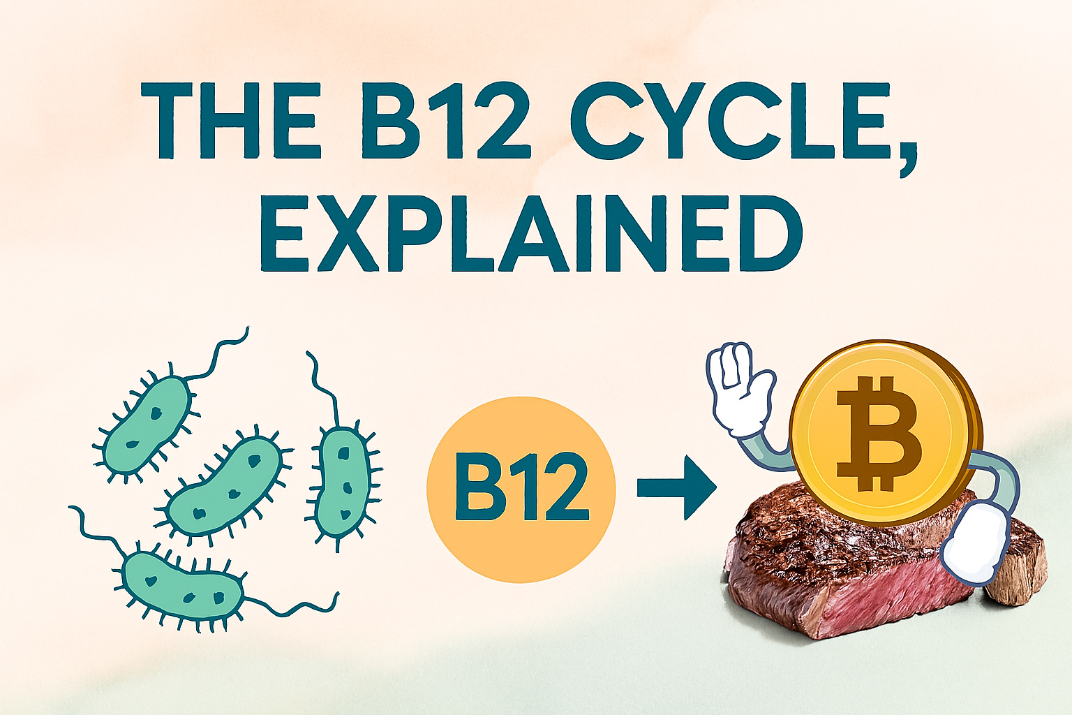 copilot 20251113 192634