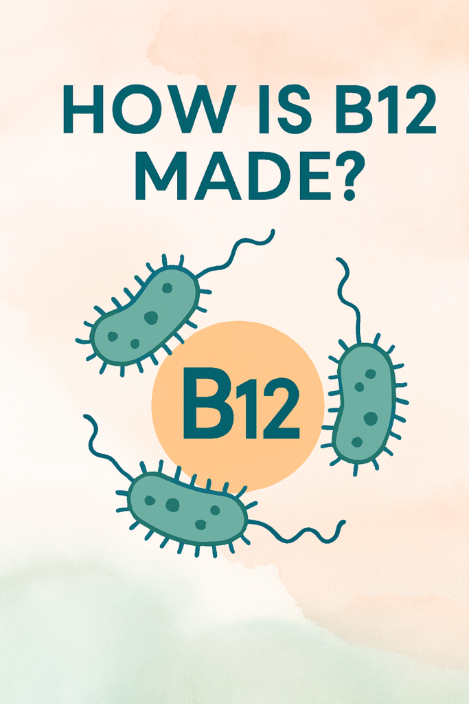 🌱 B12: Born in the Soil, Not in Steak copilot 20251113 192648